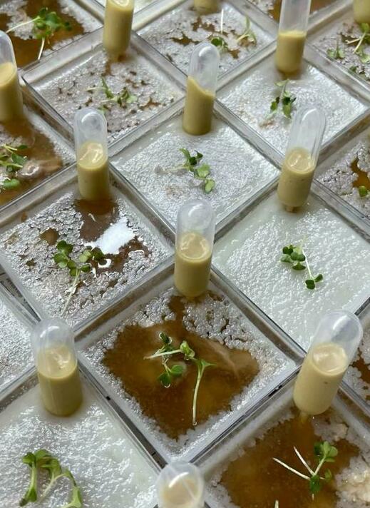 Бокс "Хрустальный"